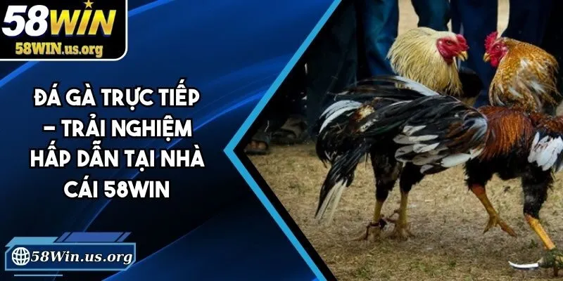 đá gà trực tiếp